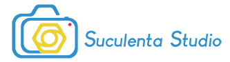 Suculenta Studio